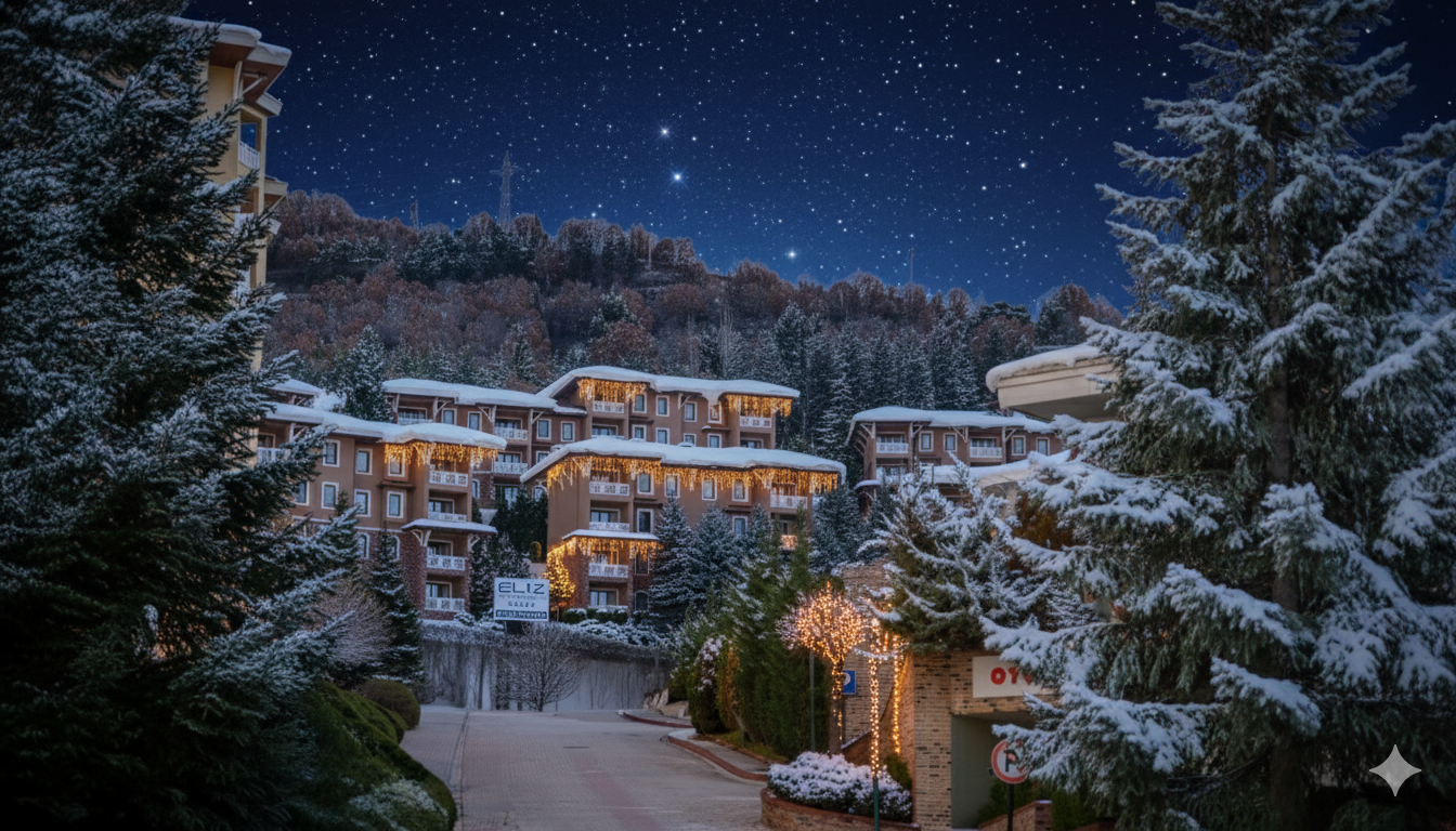 eliz hotel yılbaşı programı